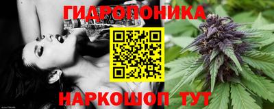 прущий лед Аргун