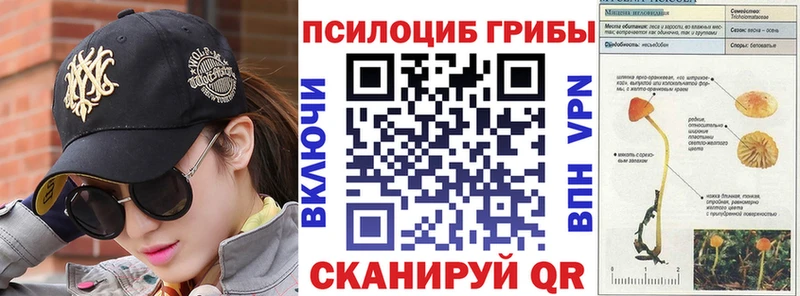 купить наркотик  Дмитров  Псилоцибиновые грибы MAGIC MUSHROOMS 