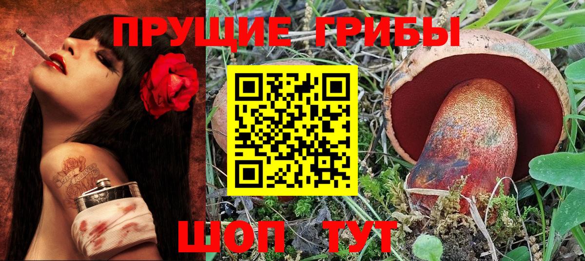 Дмитров  Псилоцибиновые грибы ЛСД  Псилоцибиновые грибы Psilocybe  Вход с VPN 