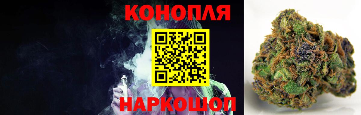 Конопля сатива Дмитров